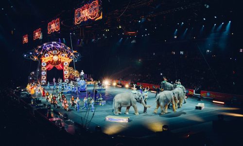 Circus